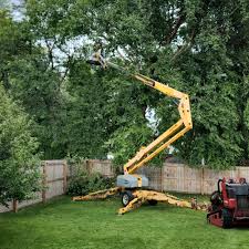 Best Sod Installation  in Southwest Ranches, FL