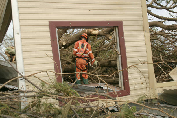 Best Tree and Shrub Care  in Southwest Ranches, FL